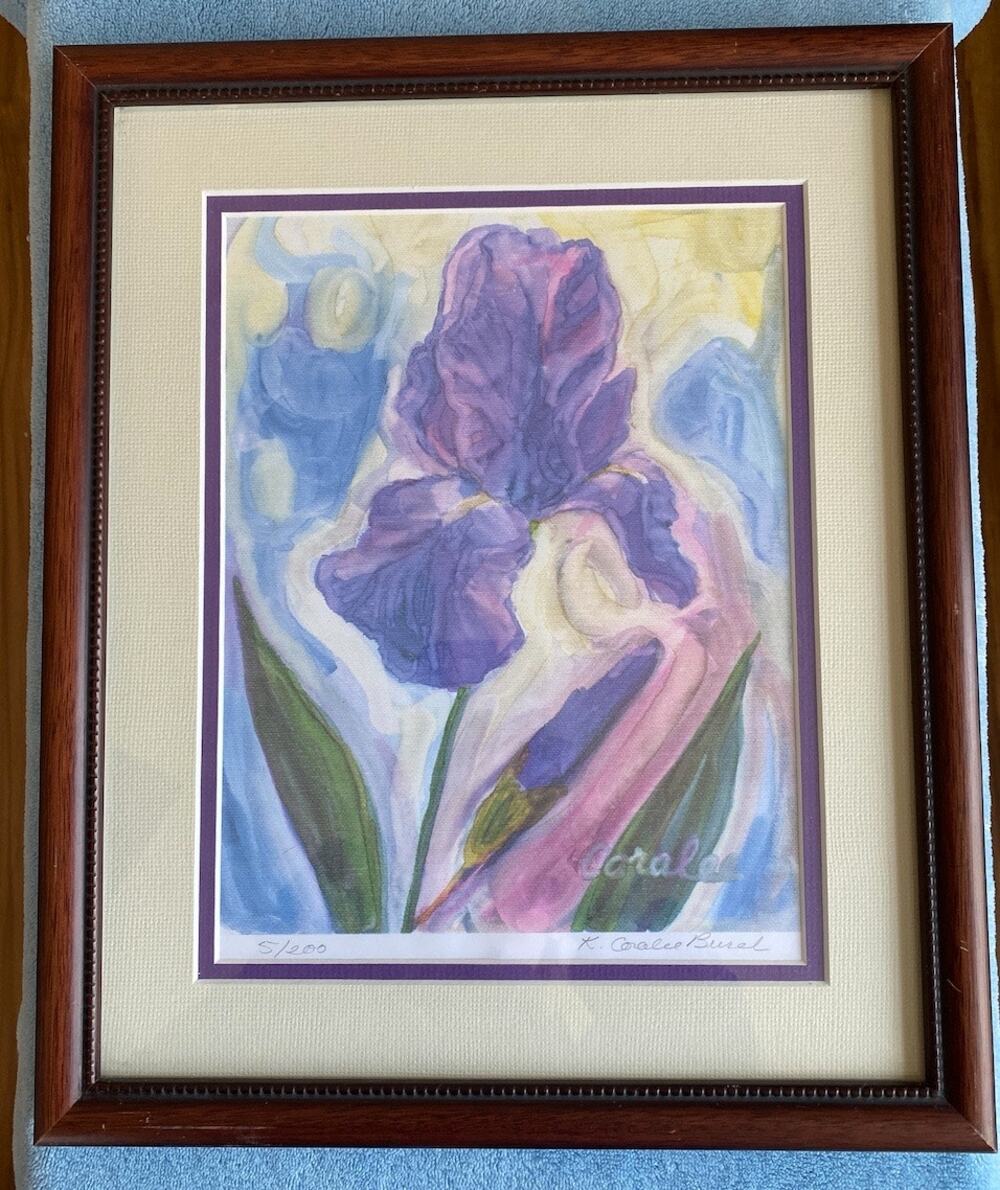 Watercolor - Sweet Iris - framed - Vintage